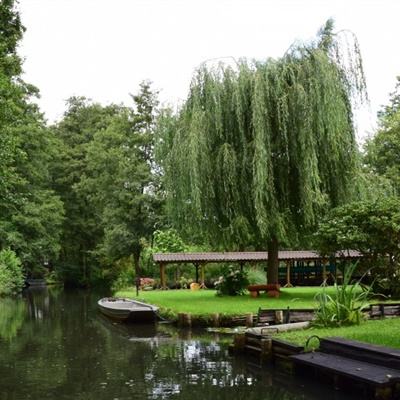 博雅体育app下载官网手机版