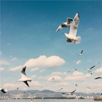 b体育官方入口在线登录网站