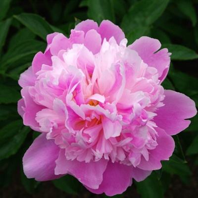 JN江南·娱乐最新官网入口