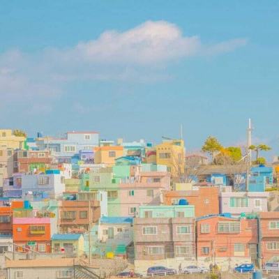 NG28加拿大软件下载